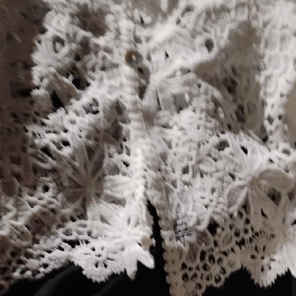 Rabbit Rabbit Rabbit White Lace Camisole - Picture 4 of 4